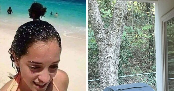 71 Amateur And Veteran Online Detectives Are Sharing Photos With Hidden Details (New Pics)