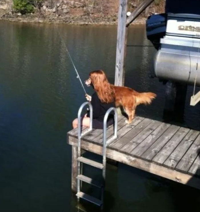 A person with a long-haired dog seemingly fishing from a dock, a confusing 'When You See It' optical illusion.