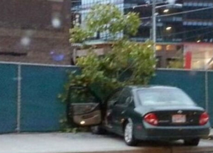 A car crashed into a fence, entwined with a tree, showcasing a When You See It Picture.