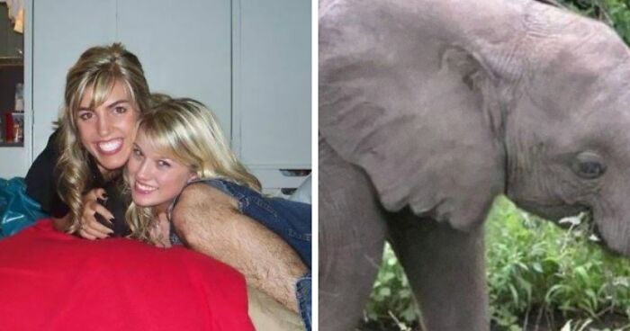 68 “When You See It” Pictures That Are Short-Circuiting People’s Brains