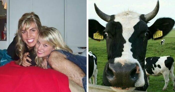 68 “When You See It” Pictures That Are Short-Circuiting People’s Brains