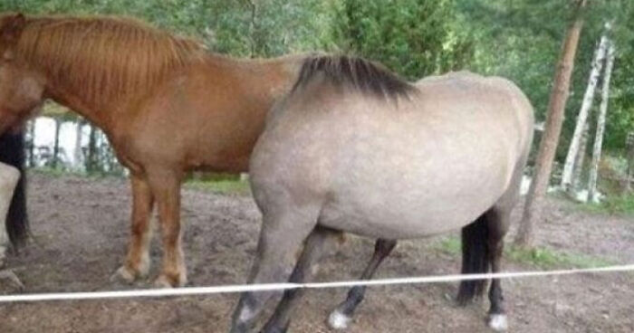 68 “When You See It” Pictures That Are Short-Circuiting People’s Brains