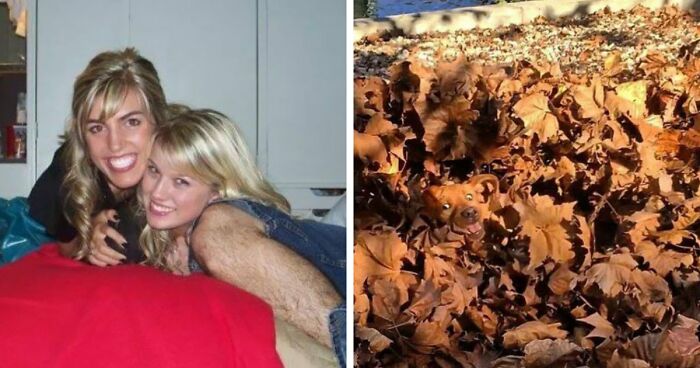 68 “When You See It” Pictures That Are Short-Circuiting People’s Brains
