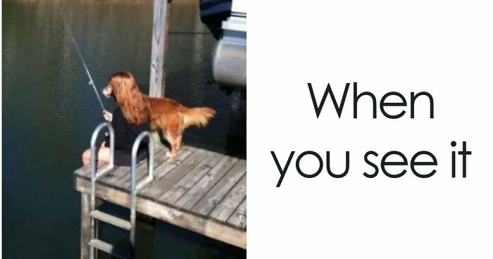 68 “When You See It” Pictures That Are Short-Circuiting People’s Brains