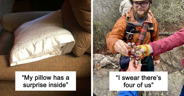 54 Extraordinary Details Hiding In Plain Sight In These Seemingly Ordinary Photos