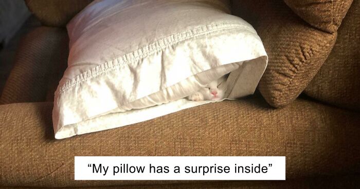 54 Extraordinary Details Hiding In Plain Sight In These Seemingly Ordinary Photos