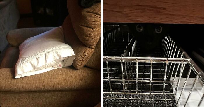 54 Extraordinary Details Hiding In Plain Sight In These Seemingly Ordinary Photos