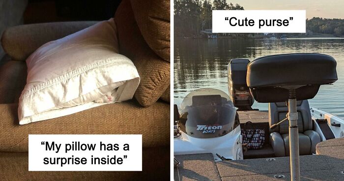 54 Extraordinary Details Hiding In Plain Sight In These Seemingly Ordinary Photos