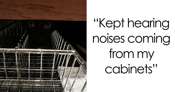 54 Extraordinary Details Hiding In Plain Sight In These Seemingly Ordinary Photos