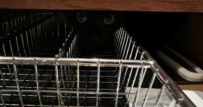 54 Extraordinary Details Hiding In Plain Sight In These Seemingly Ordinary Photos