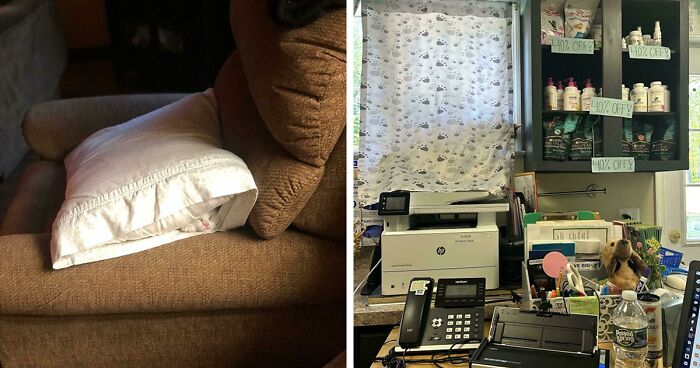 54 Extraordinary Details Hiding In Plain Sight In These Seemingly Ordinary Photos
