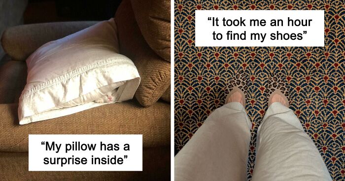 54 Extraordinary Details Hiding In Plain Sight In These Seemingly Ordinary Photos