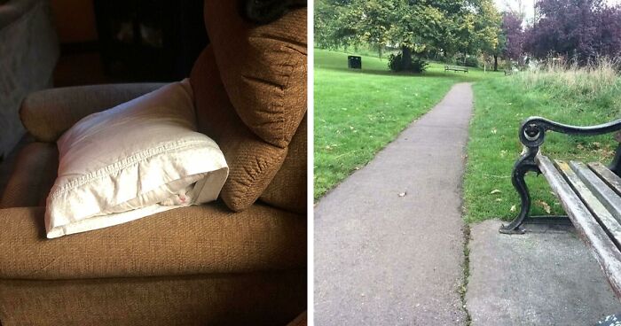54 Extraordinary Details Hiding In Plain Sight In These Seemingly Ordinary Photos