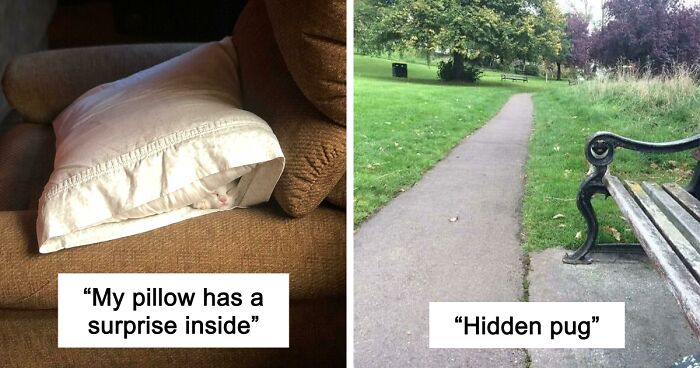 54 Extraordinary Details Hiding In Plain Sight In These Seemingly Ordinary Photos