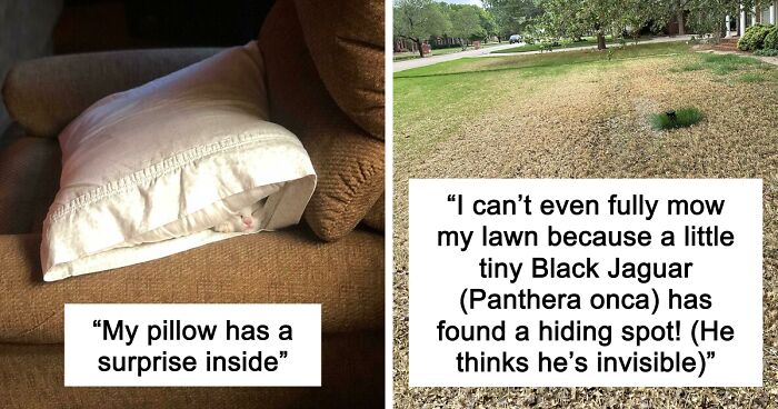 54 Extraordinary Details Hiding In Plain Sight In These Seemingly Ordinary Photos