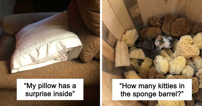 54 Extraordinary Details Hiding In Plain Sight In These Seemingly Ordinary Photos