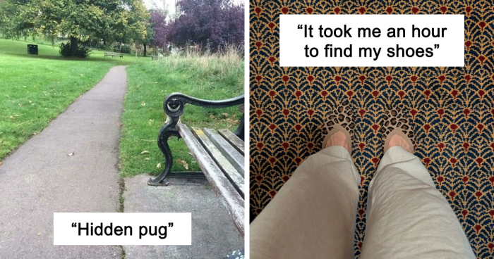 54 Extraordinary Details Hiding In Plain Sight In These Seemingly Ordinary Photos