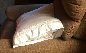 54 Extraordinary Details Hiding In Plain Sight In These Seemingly Ordinary Photos