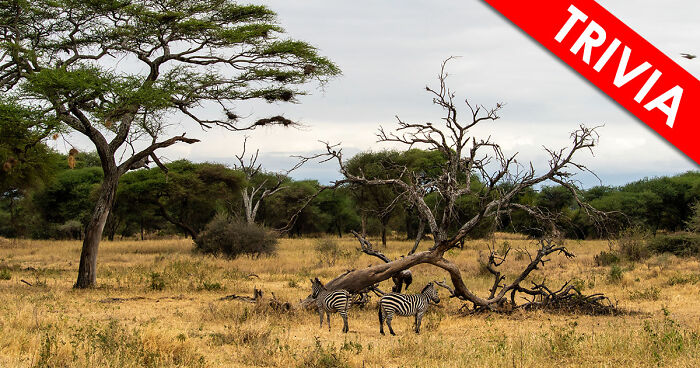 “Are You A Geography Genius?”: Identify The Location Of These 19 Famous Places To Prove It