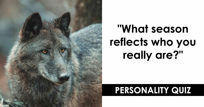 Your Inner World Has A Season – And These 27 Questions Know Exactly Which One It Is