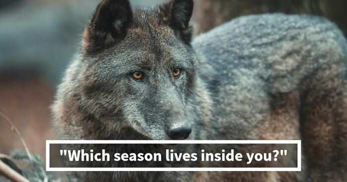 Your Inner World Has A Season – And These 27 Questions Know Exactly Which One It Is