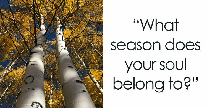 Your Inner World Has A Season – And These 27 Questions Know Exactly Which One It Is