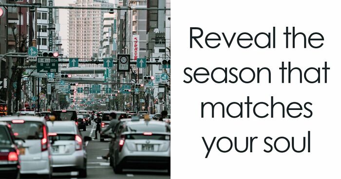 Your Inner World Has A Season – And These 27 Questions Know Exactly Which One It Is