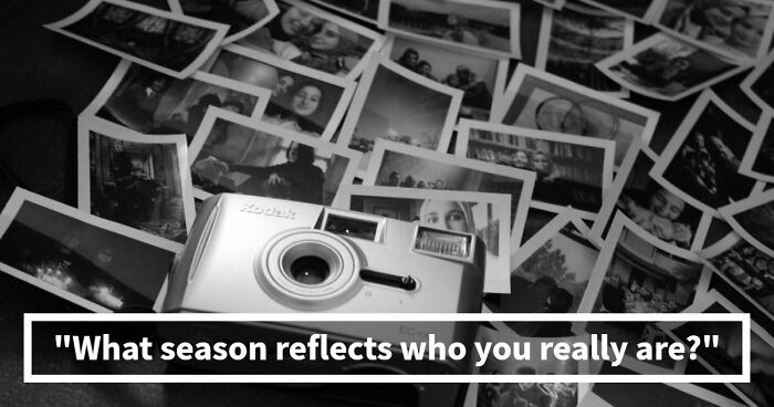 Your Inner World Has A Season – And These 27 Questions Know Exactly Which One It Is