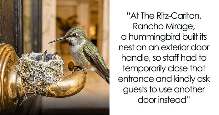 26 Wholesome Animal Facts From Around The World That Restore Faith In Nature (New Pics)