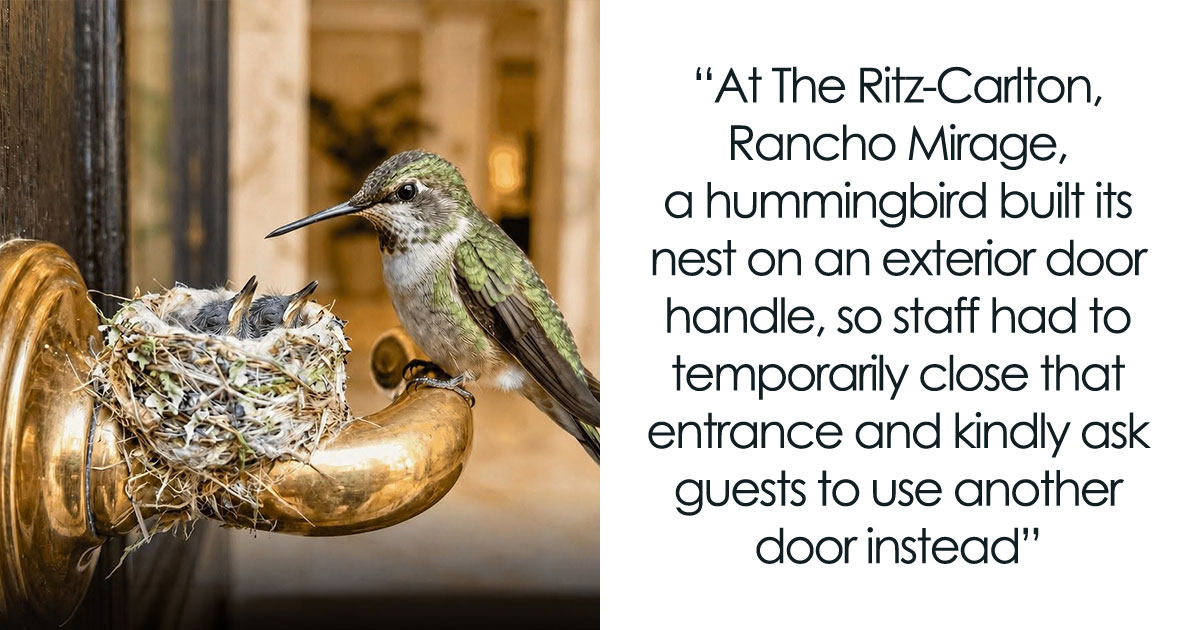 26 Wholesome Animal Facts From Around The World That Restore Faith In Nature (New Pics)