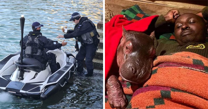 57 Amazing And Wholesome Posts To Restore Your Faith In Humanity