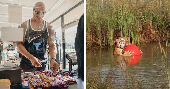 57 Amazing And Wholesome Posts To Restore Your Faith In Humanity