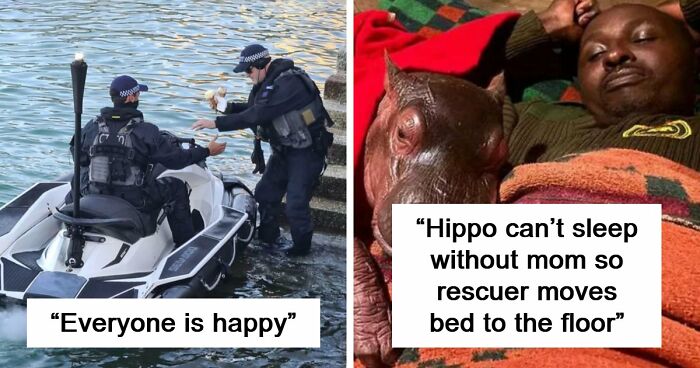 57 Amazing And Wholesome Posts To Restore Your Faith In Humanity