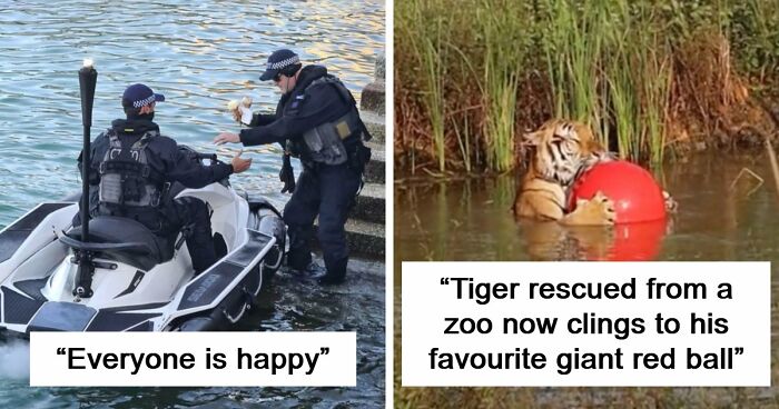 57 Amazing And Wholesome Posts To Restore Your Faith In Humanity