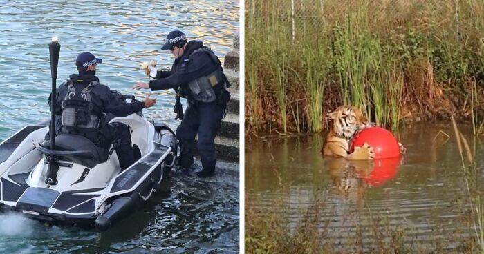 57 Amazing And Wholesome Posts To Restore Your Faith In Humanity