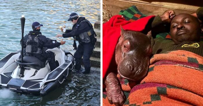 57 Amazing And Wholesome Posts To Restore Your Faith In Humanity
