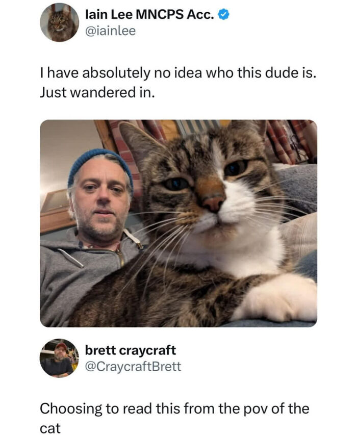 Man with cat selfie showing perspective from the cat in wholesome internet pics