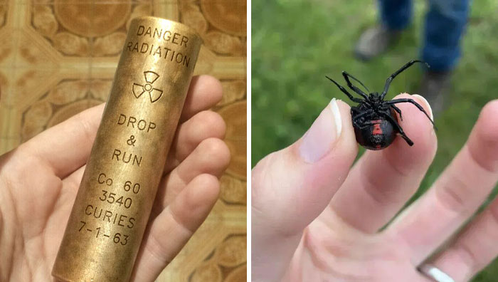 “WHY WOULD YOU TOUCH THAT?!”: 71 Things That Should Really Be Left Alone