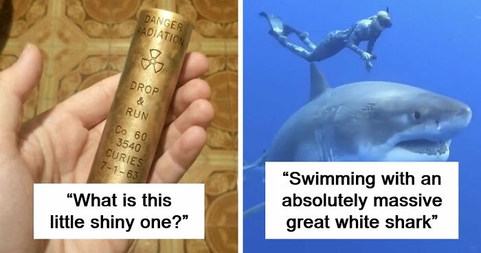 “WHY WOULD YOU TOUCH THAT?!”: 71 Things That Should Really Be Left Alone