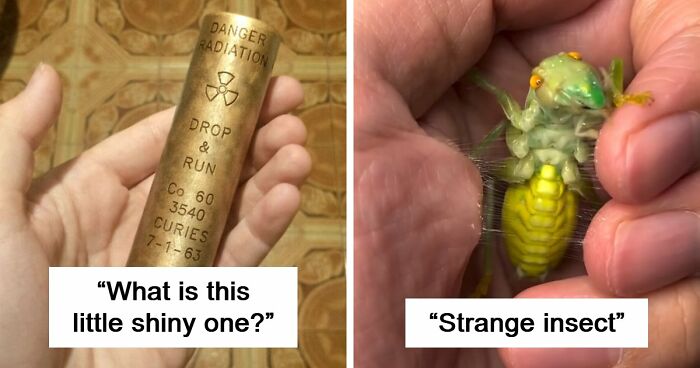 “WHY WOULD YOU TOUCH THAT?!”: 71 Things That Should Really Be Left Alone