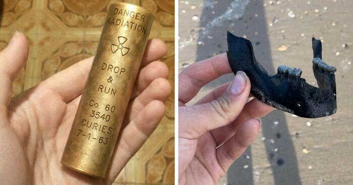 “WHY WOULD YOU TOUCH THAT?!”: 71 Things That Should Really Be Left Alone