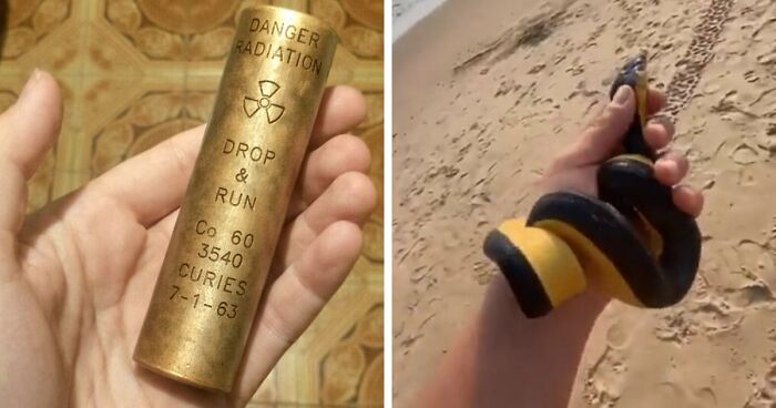 “WHY WOULD YOU TOUCH THAT?!”: 71 Things That Should Really Be Left Alone