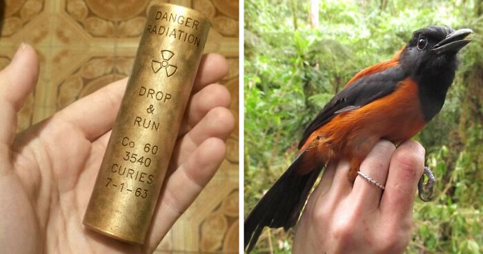 “WHY WOULD YOU TOUCH THAT?!”: 71 Things That Should Really Be Left Alone