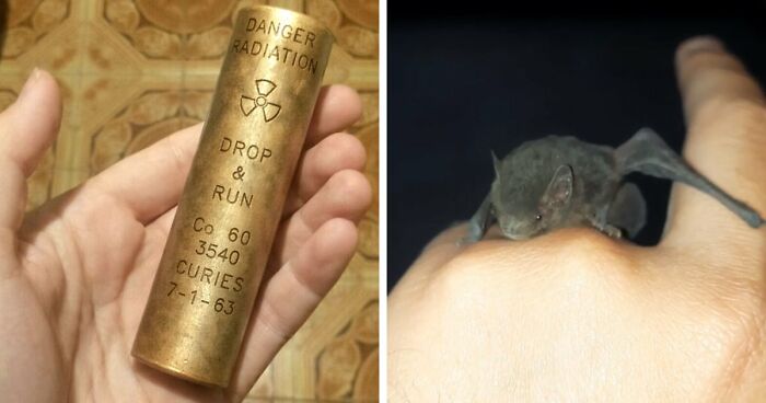 “WHY WOULD YOU TOUCH THAT?!”: 71 Things That Should Really Be Left Alone