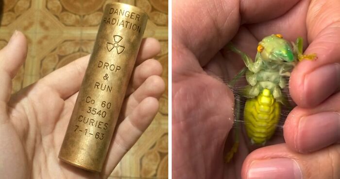 “WHY WOULD YOU TOUCH THAT?!”: 71 Things That Should Really Be Left Alone
