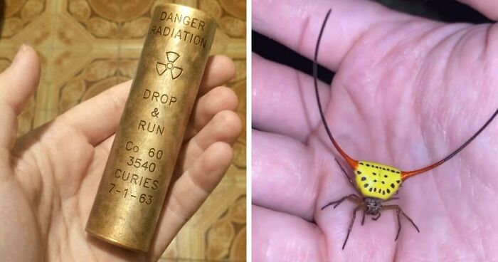 “WHY WOULD YOU TOUCH THAT?!”: 71 Things That Should Really Be Left Alone