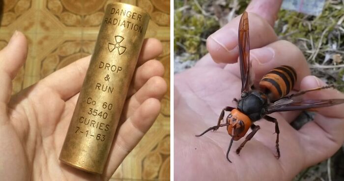 “WHY WOULD YOU TOUCH THAT?!”: 71 Things That Should Really Be Left Alone