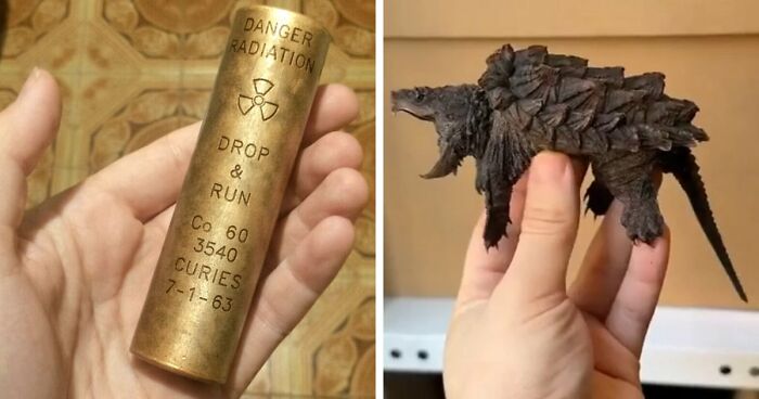 “WHY WOULD YOU TOUCH THAT?!”: 71 Things That Should Really Be Left Alone