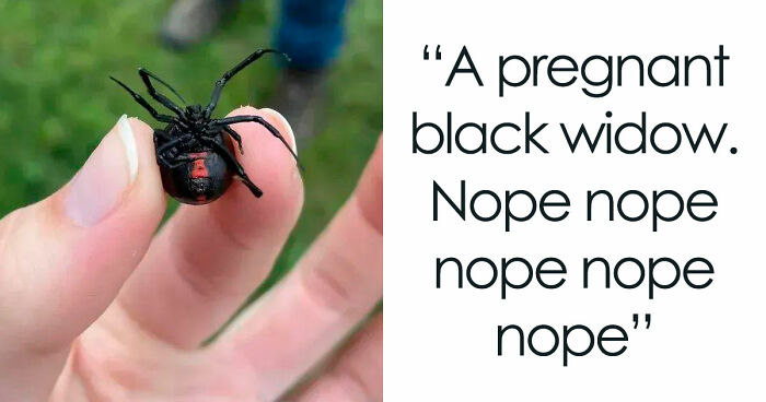 “WHY WOULD YOU TOUCH THAT?!”: 71 Things That Should Really Be Left Alone