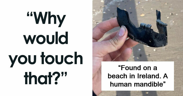 “WHY WOULD YOU TOUCH THAT?!”: 71 Things That Should Really Be Left Alone